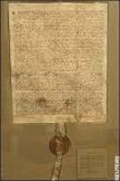 Magna Carta Document